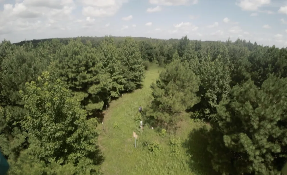 County Rd 1640 Jefferson, TX 75657