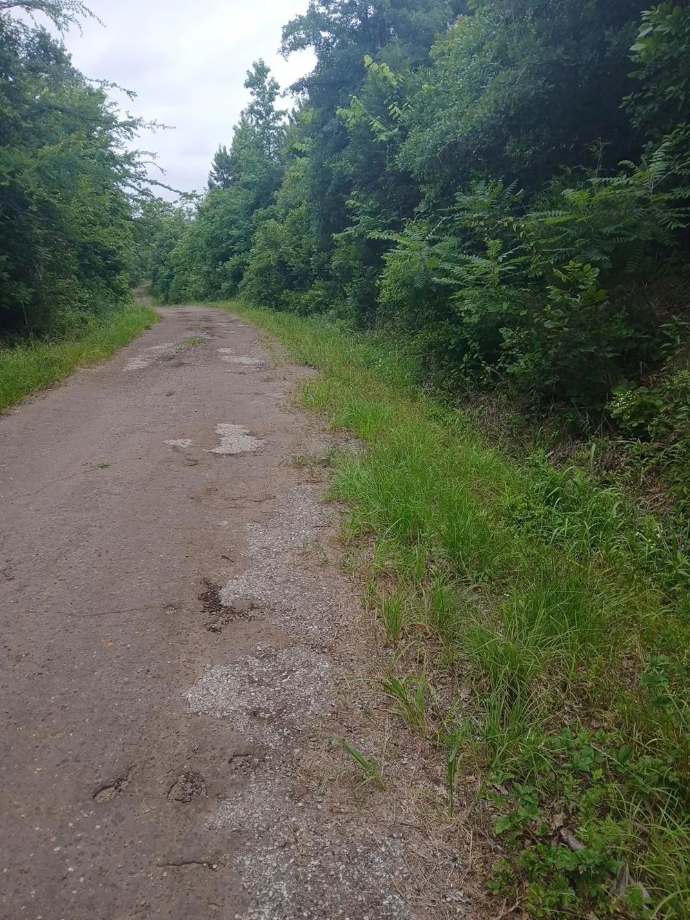 County Rd 1640 Jefferson, TX 75657