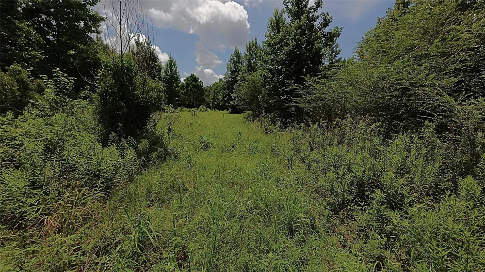 County Rd 1640 Jefferson, TX 75657