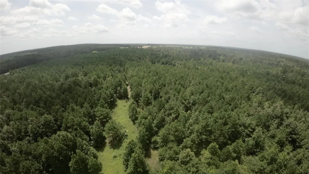 County Rd 1640 Jefferson, TX 75657