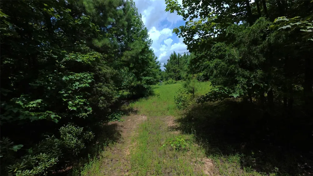 County Rd 1640 Jefferson, TX 75657