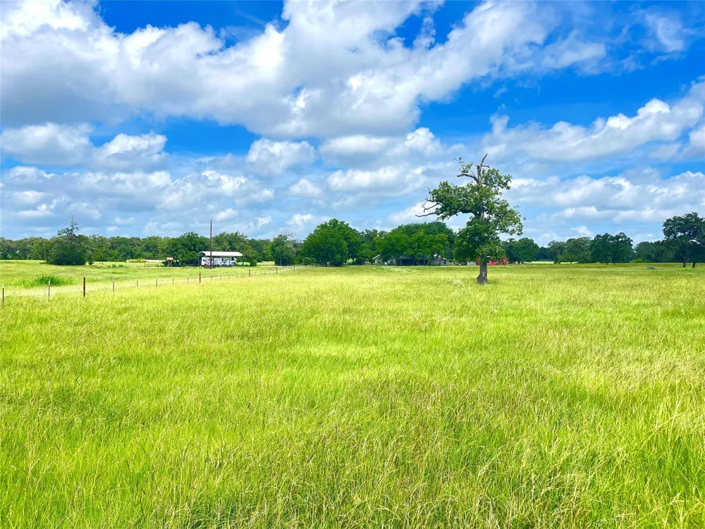 11009 N Hwy 77 Lexington, TX 78947