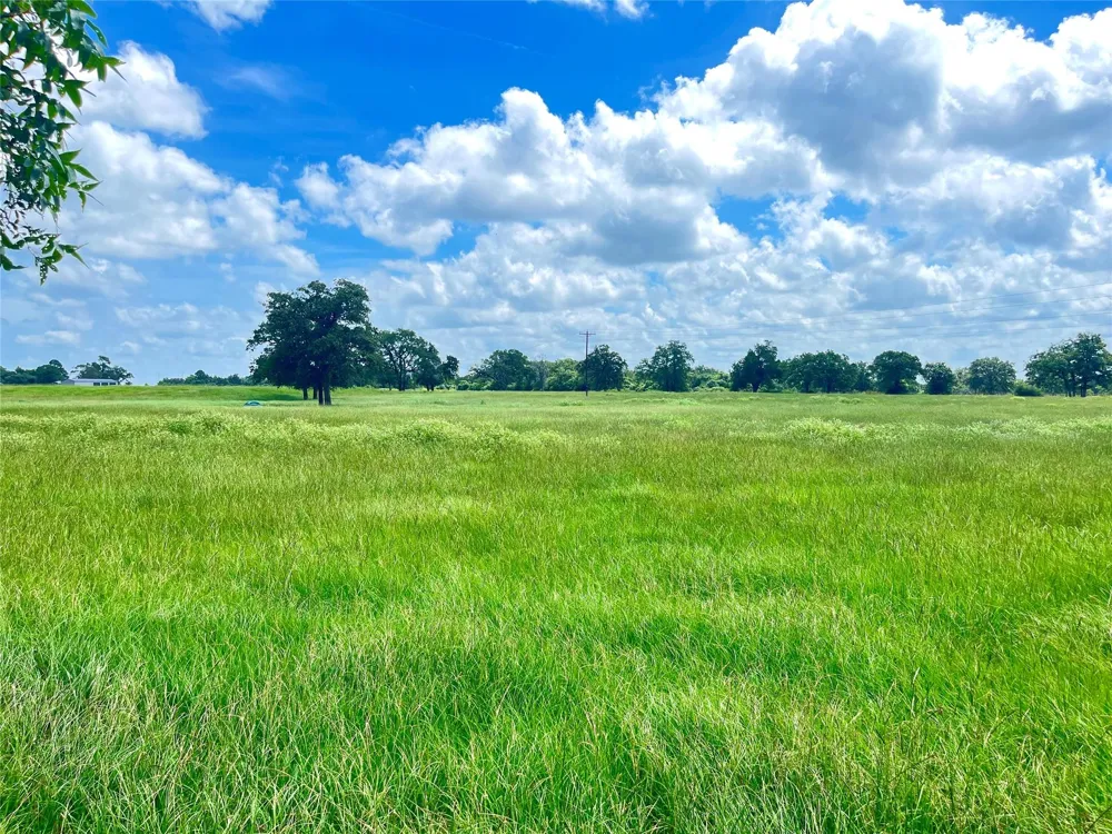 11009 N Hwy 77 Lexington, TX 78947