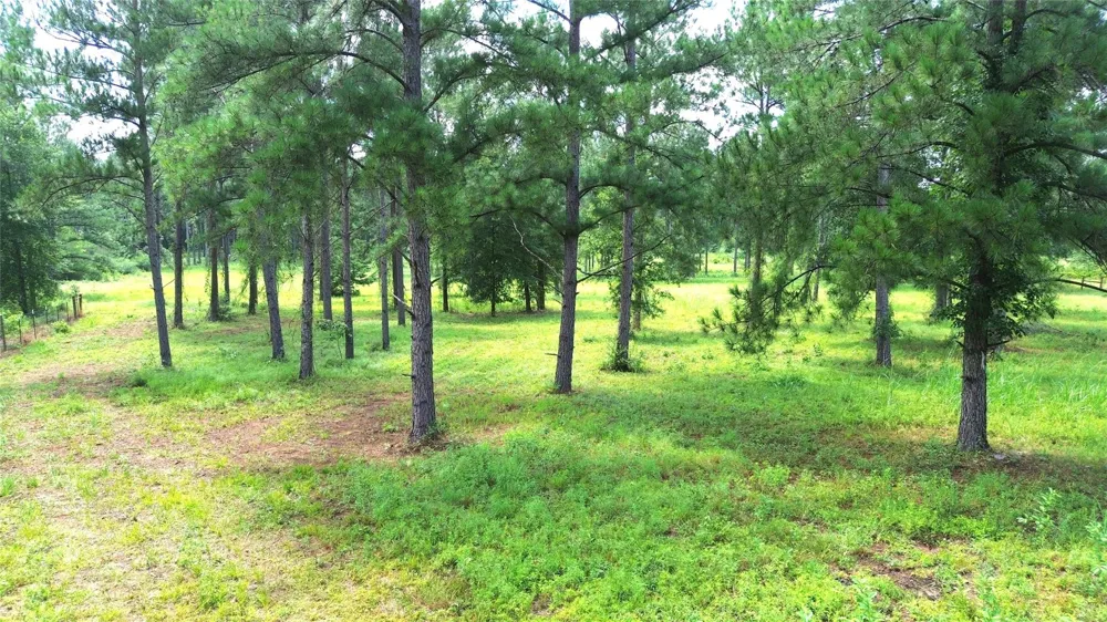 1320 Buckhorn Creek Crockett, TX 75835