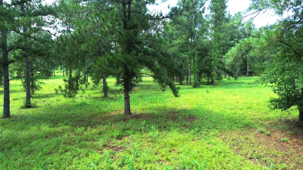 1320 Buckhorn Creek Crockett, TX 75835