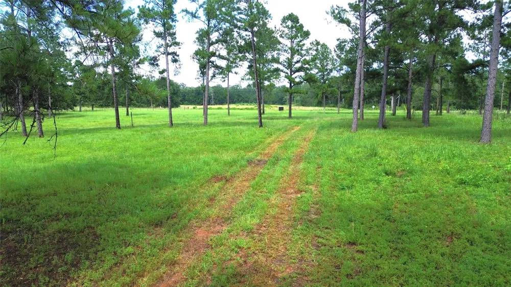 1320 Buckhorn Creek Crockett, TX 75835