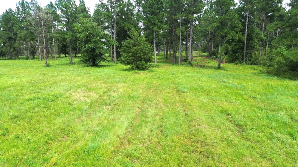 1320 Buckhorn Creek Crockett, TX 75835