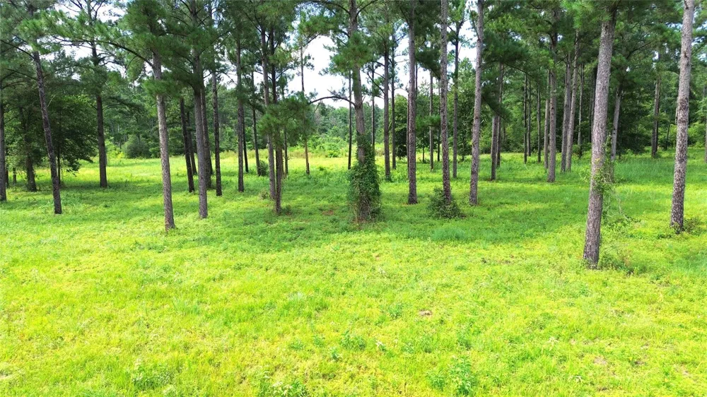 1320 Buckhorn Creek Crockett, TX 75835