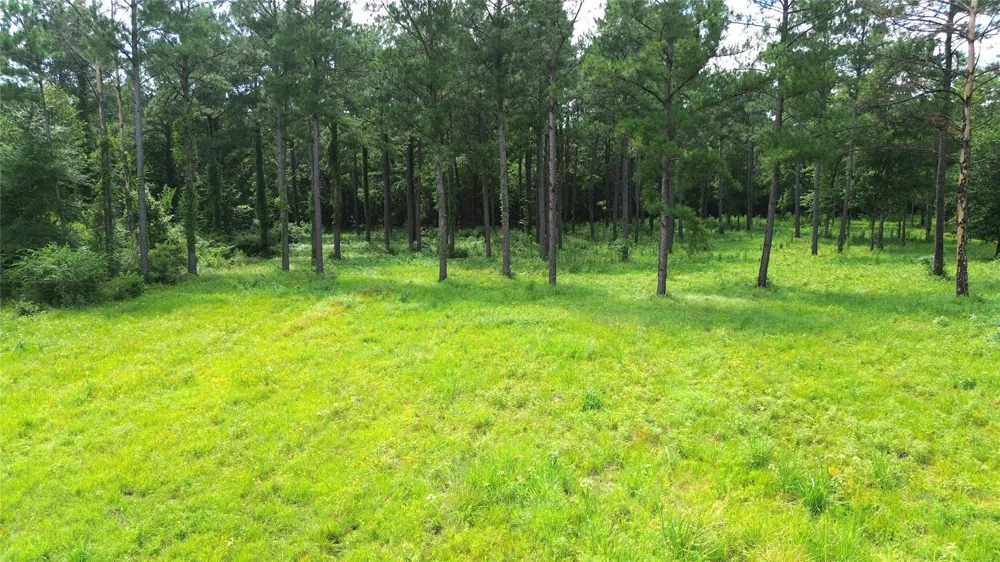 1320 Buckhorn Creek Crockett, TX 75835