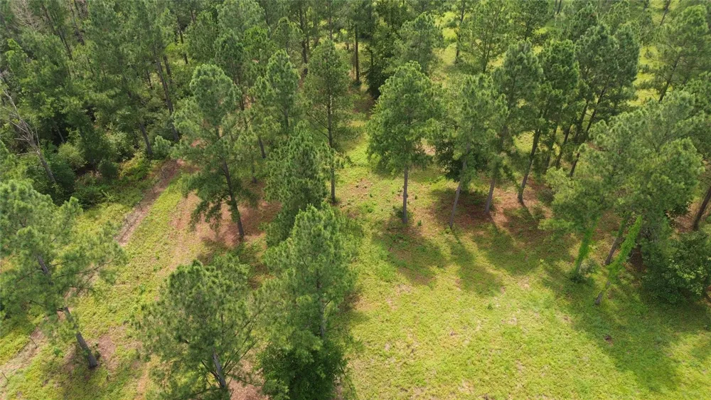 1320 Buckhorn Creek Crockett, TX 75835