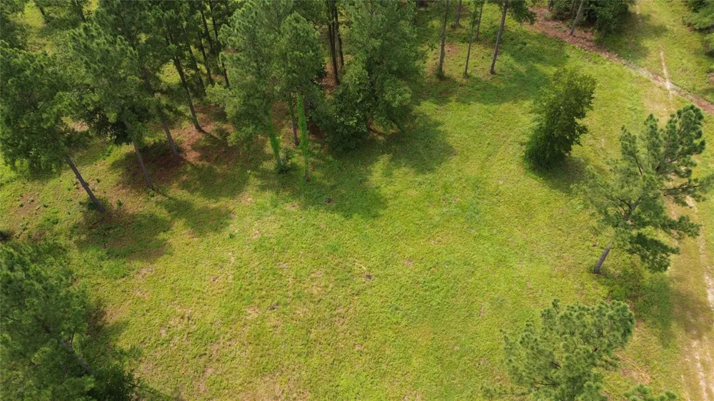 1320 Buckhorn Creek Crockett, TX 75835