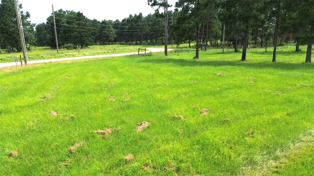 1320 Buckhorn Creek Crockett, TX 75835
