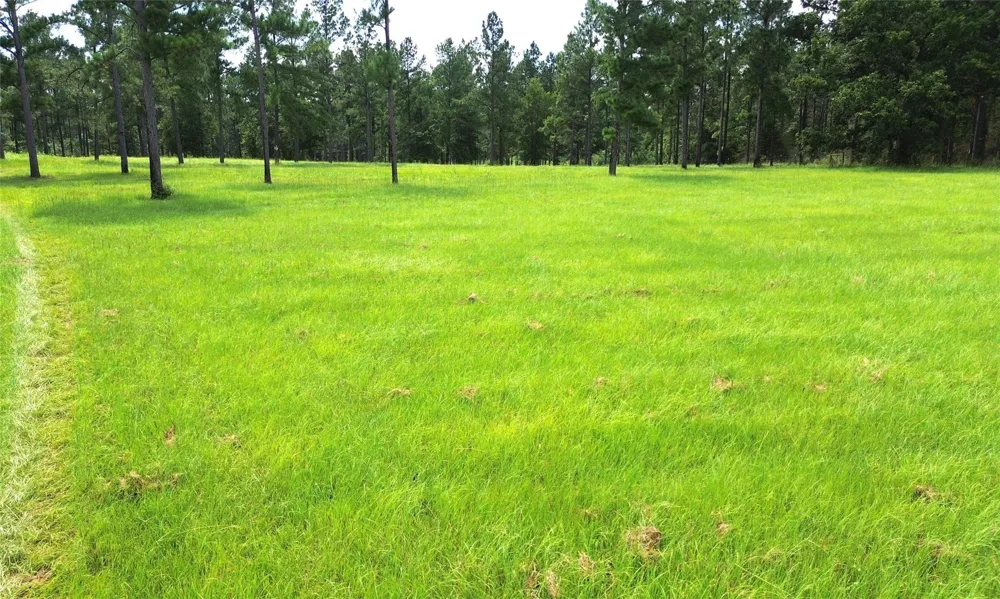 1320 Buckhorn Creek Crockett, TX 75835