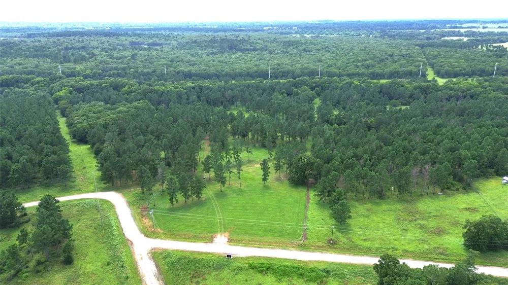 1320 Buckhorn Creek Crockett, TX 75835