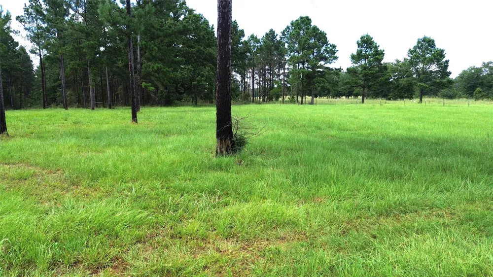 1320 Buckhorn Creek Crockett, TX 75835