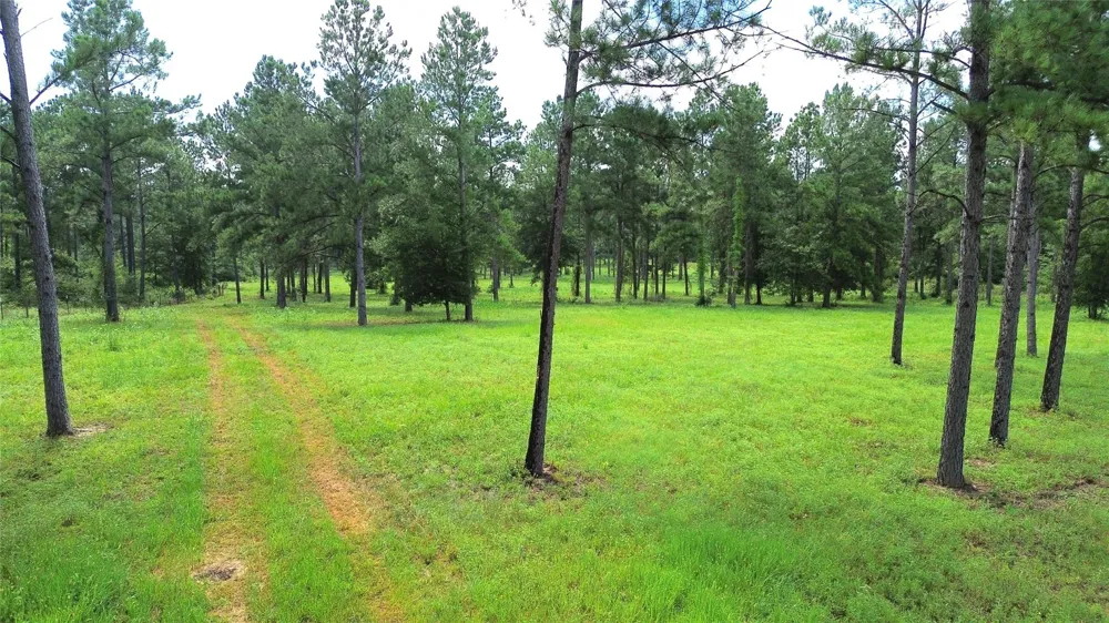 1320 Buckhorn Creek Crockett, TX 75835