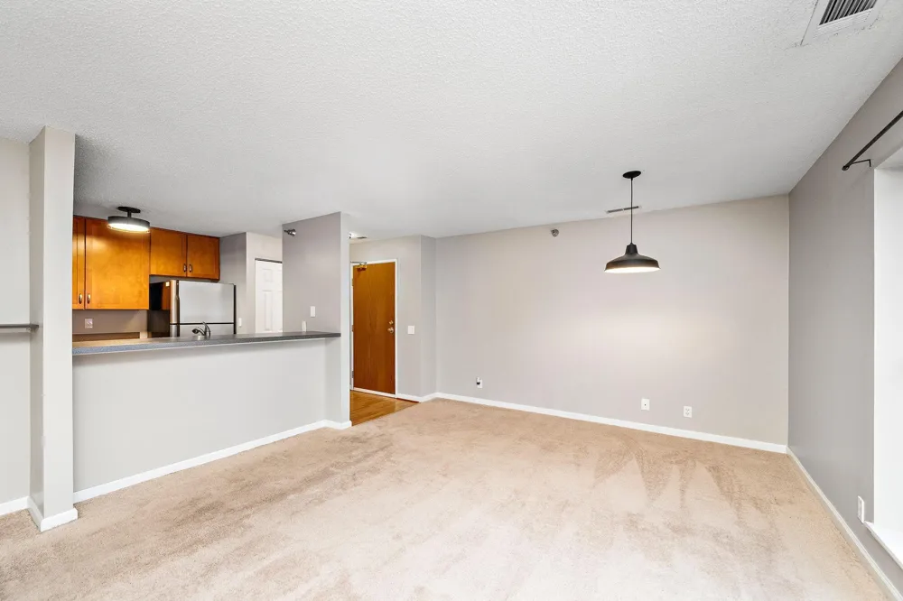 6155 Chasewood Parkway #204 Minnetonka, MN 55343