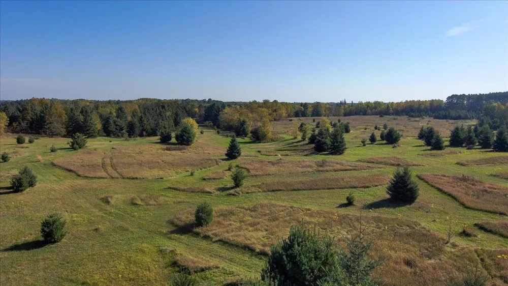 185 Crow Wing Lake Drive NE Akeley, MN 56433