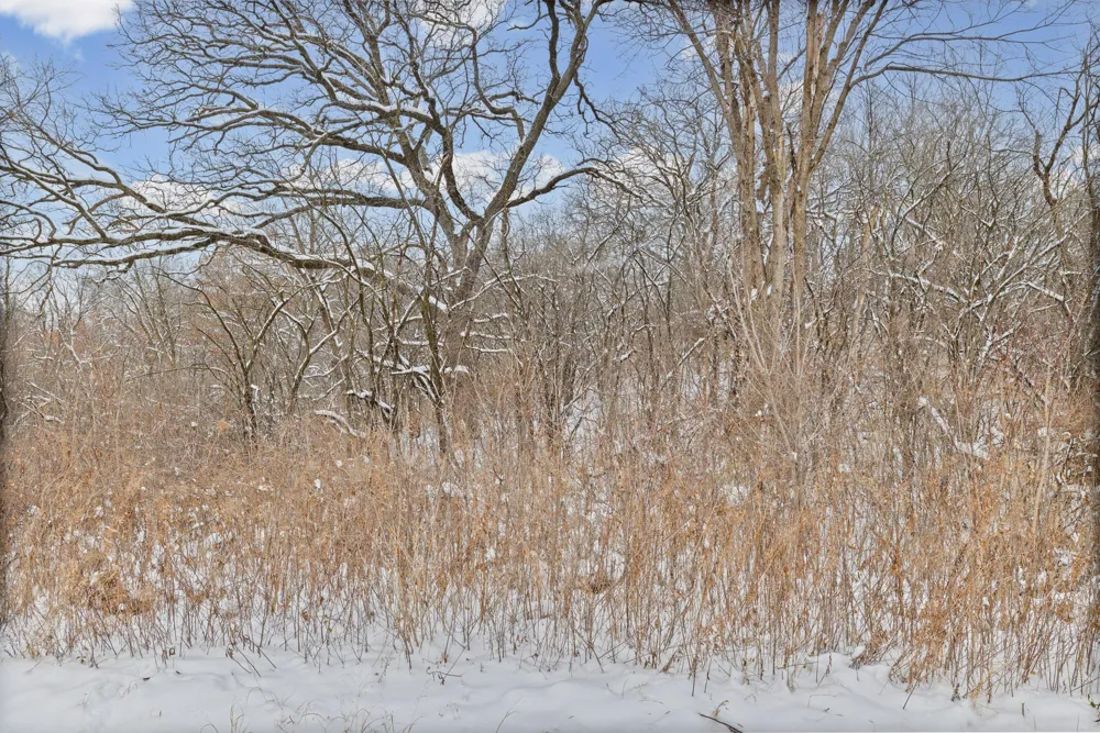 2685 Carver Avenue E Maplewood, MN 55119