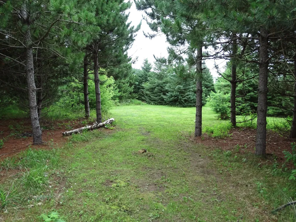 N1041 Prairie Rose Drive Pepin, WI 54759