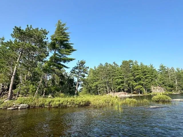 2889 Waters Ely, MN 55731