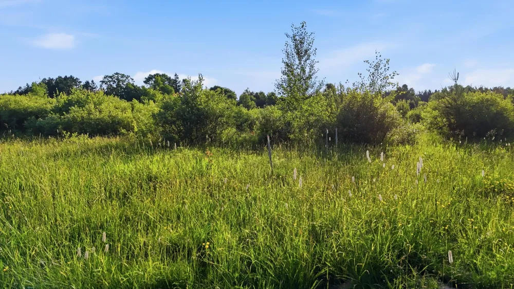 4832 Florence Drive Moose Lake, MN 55767