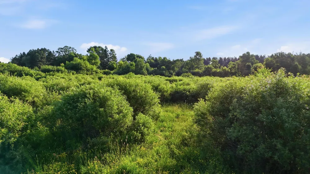 4832 Florence Drive Moose Lake, MN 55767