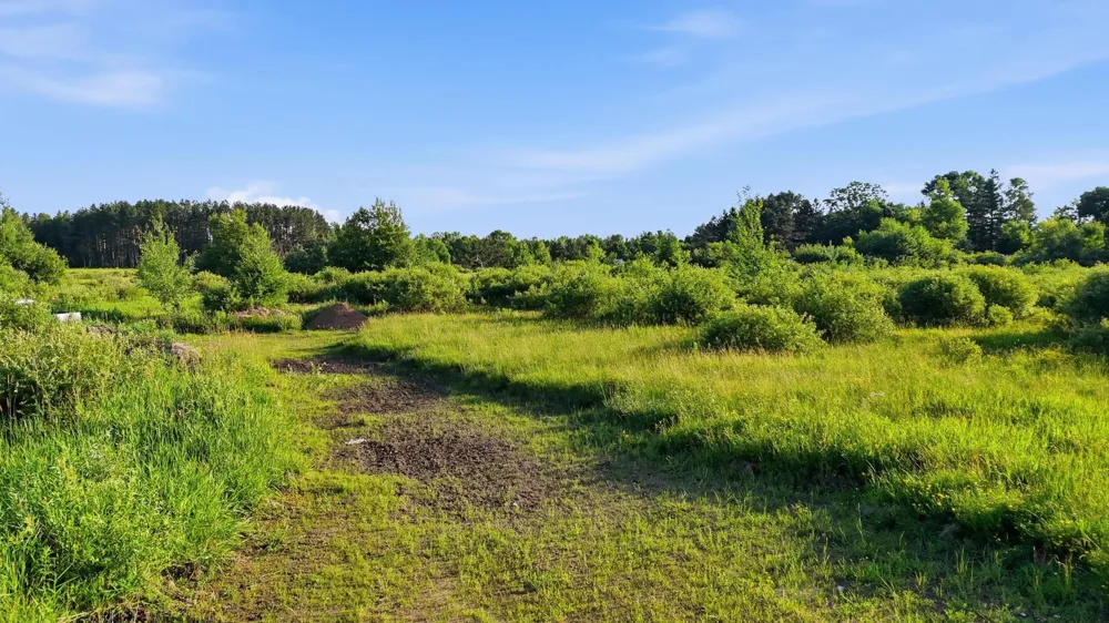4832 Florence Drive Moose Lake, MN 55767
