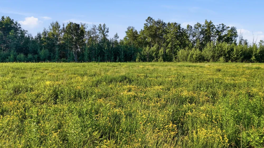 TBD Florence Dr Moose Lake, MN 55767
