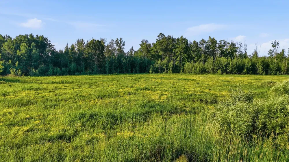 TBD Florence Dr Moose Lake, MN 55767
