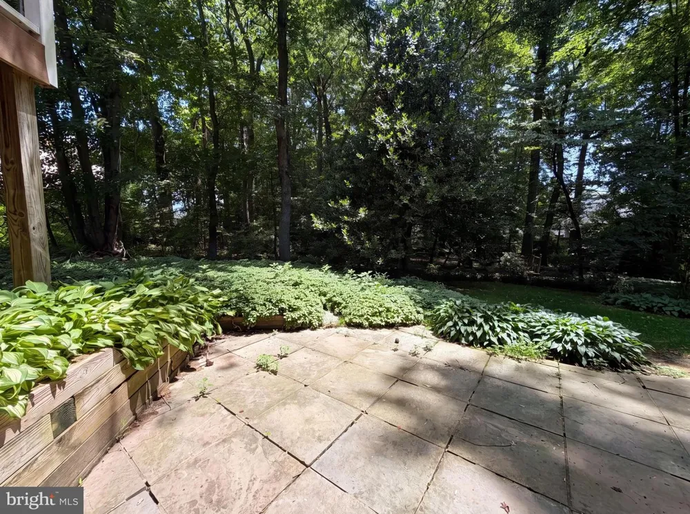 4819 POWELL ROAD Fairfax, VA 22032
