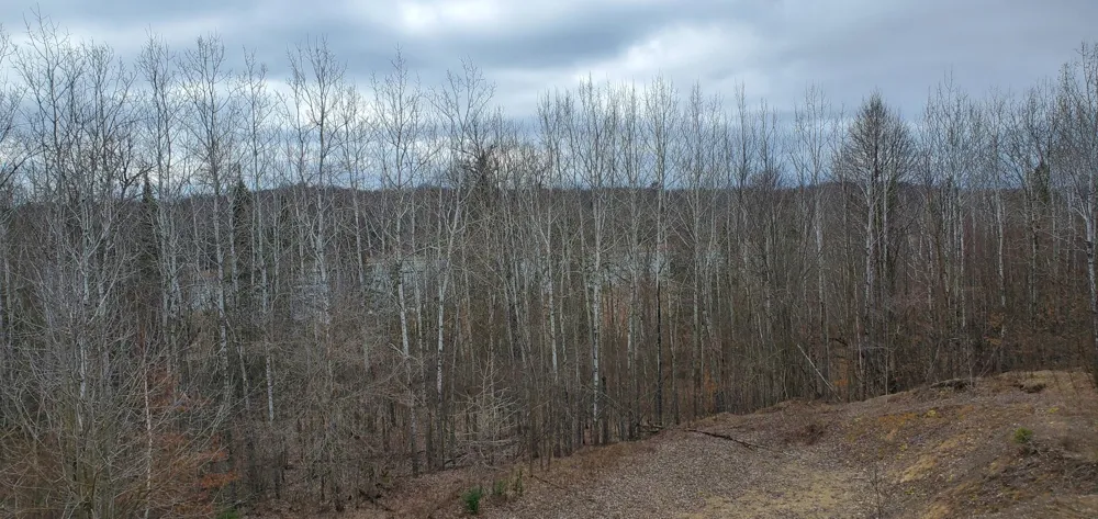 38953 Ada Beach Road Waubun, MN 56589