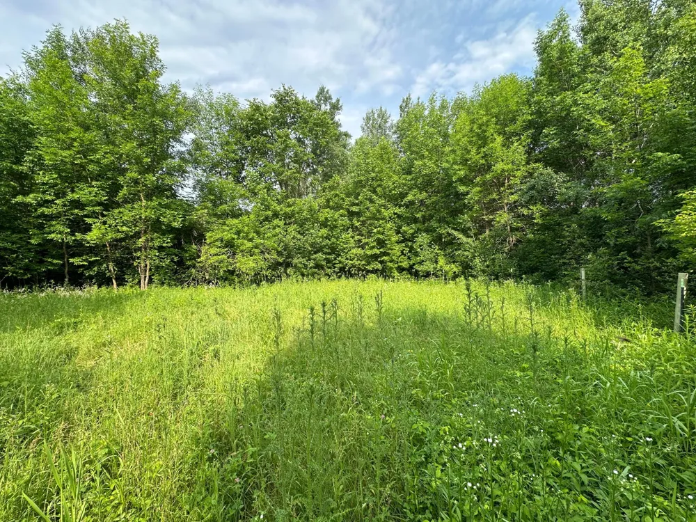 38953 Ada Beach Road Waubun, MN 56589