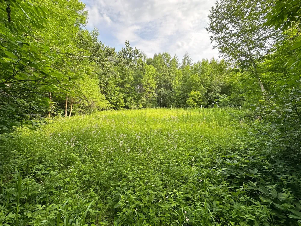 38953 Ada Beach Road Waubun, MN 56589