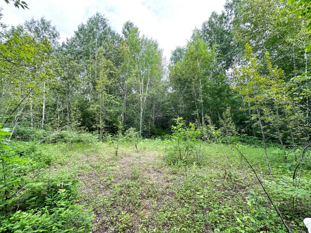 38953 Ada Beach Road Waubun, MN 56589