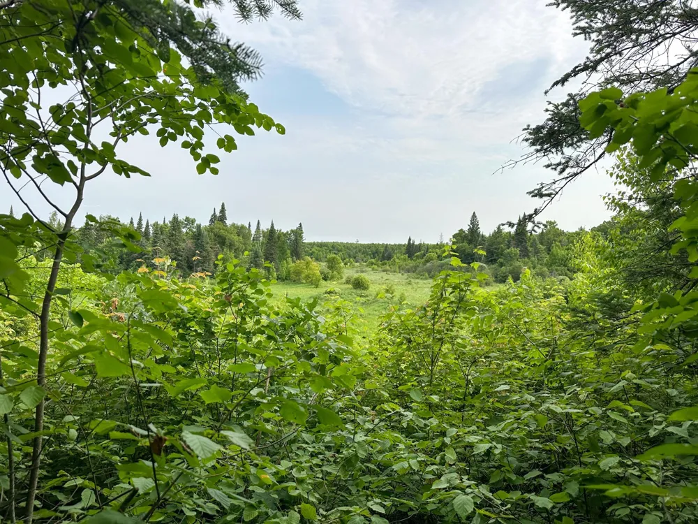 38953 Ada Beach Road Waubun, MN 56589