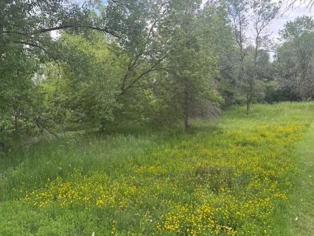 Lot 4, Block 4 Circle Drive NW Alexandria, MN 56308