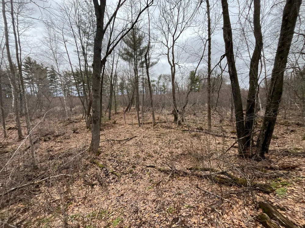 TBD Ten Mile Drive Chetek, WI 54757