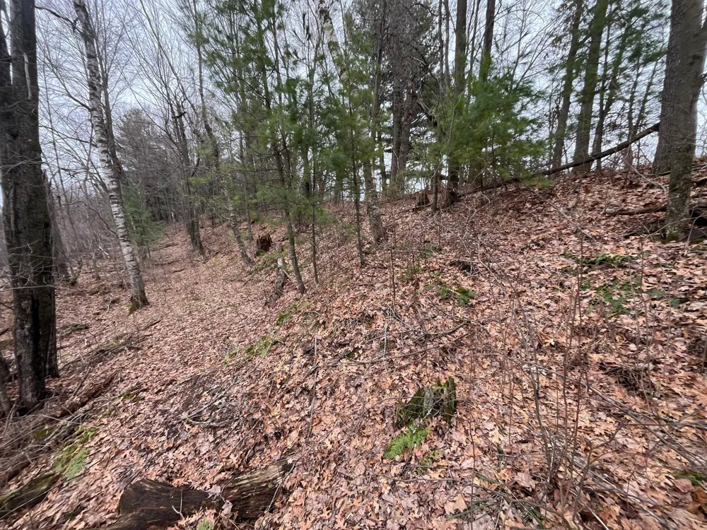 TBD Ten Mile Drive Chetek, WI 54757