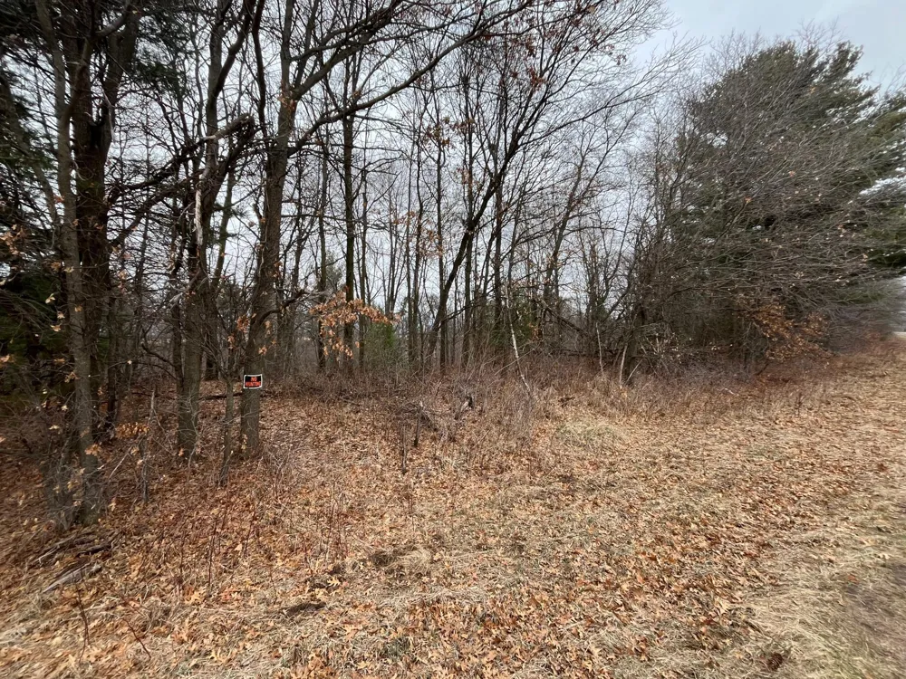 TBD Ten Mile Drive Chetek, WI 54757