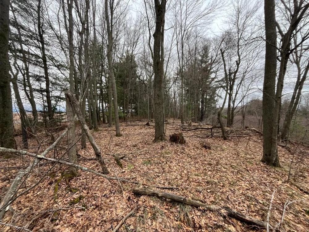 TBD Ten Mile Drive Chetek, WI 54757