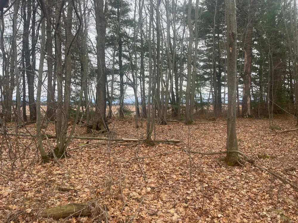 TBD Ten Mile Drive Chetek, WI 54757