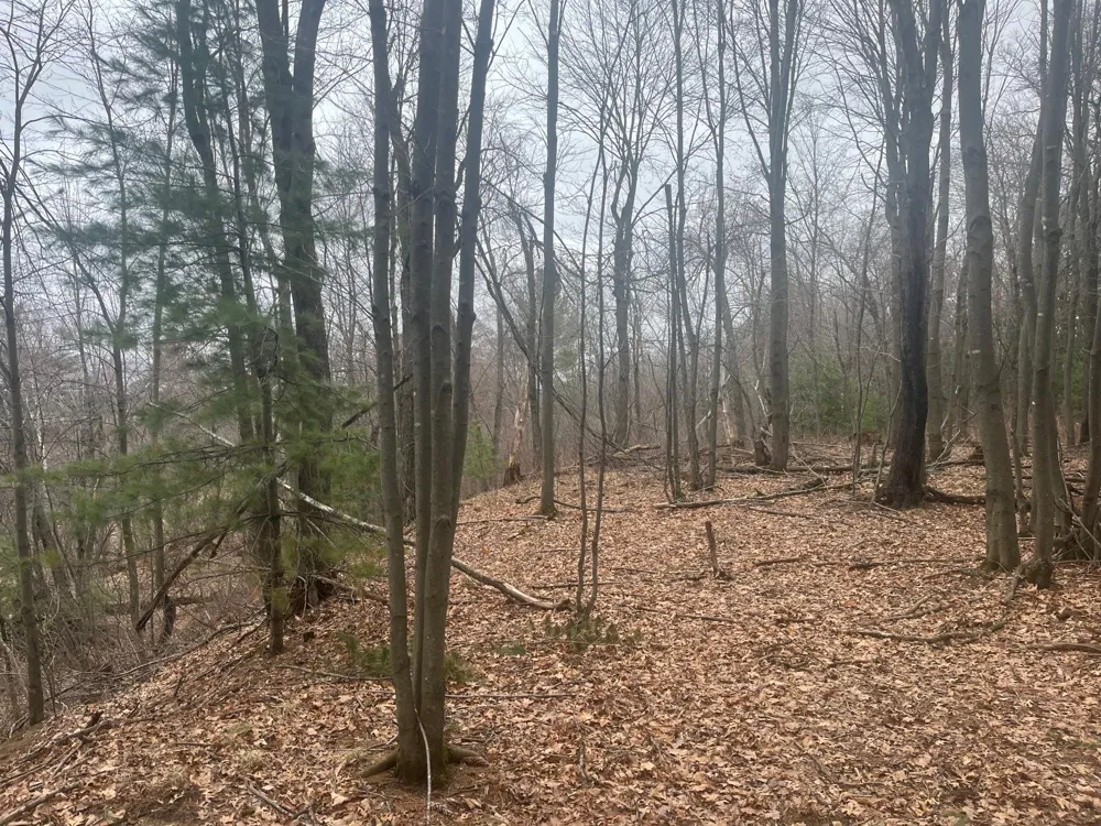 TBD Ten Mile Drive Chetek, WI 54757