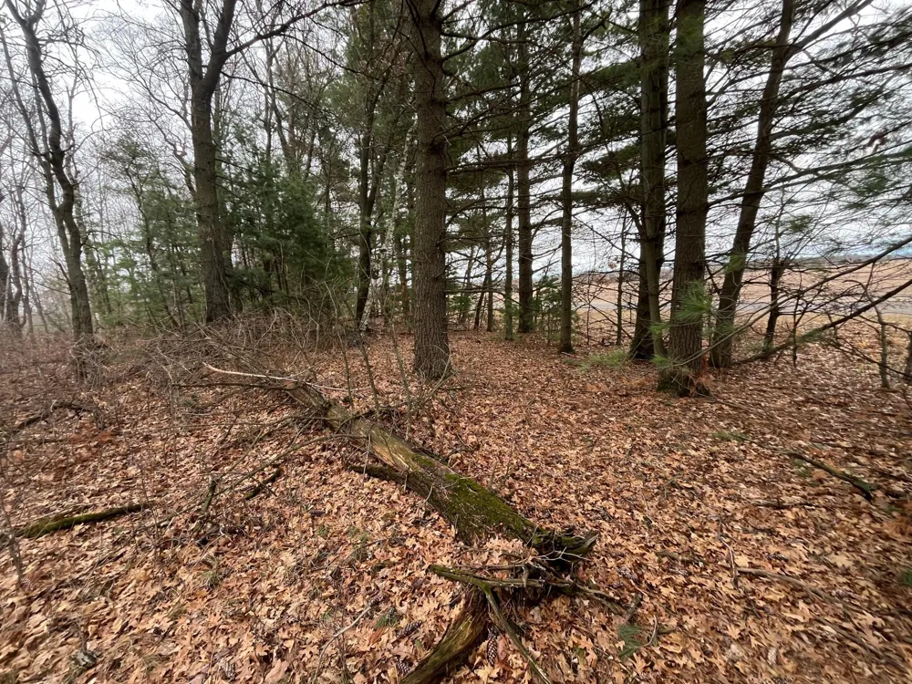 TBD Ten Mile Drive Chetek, WI 54757