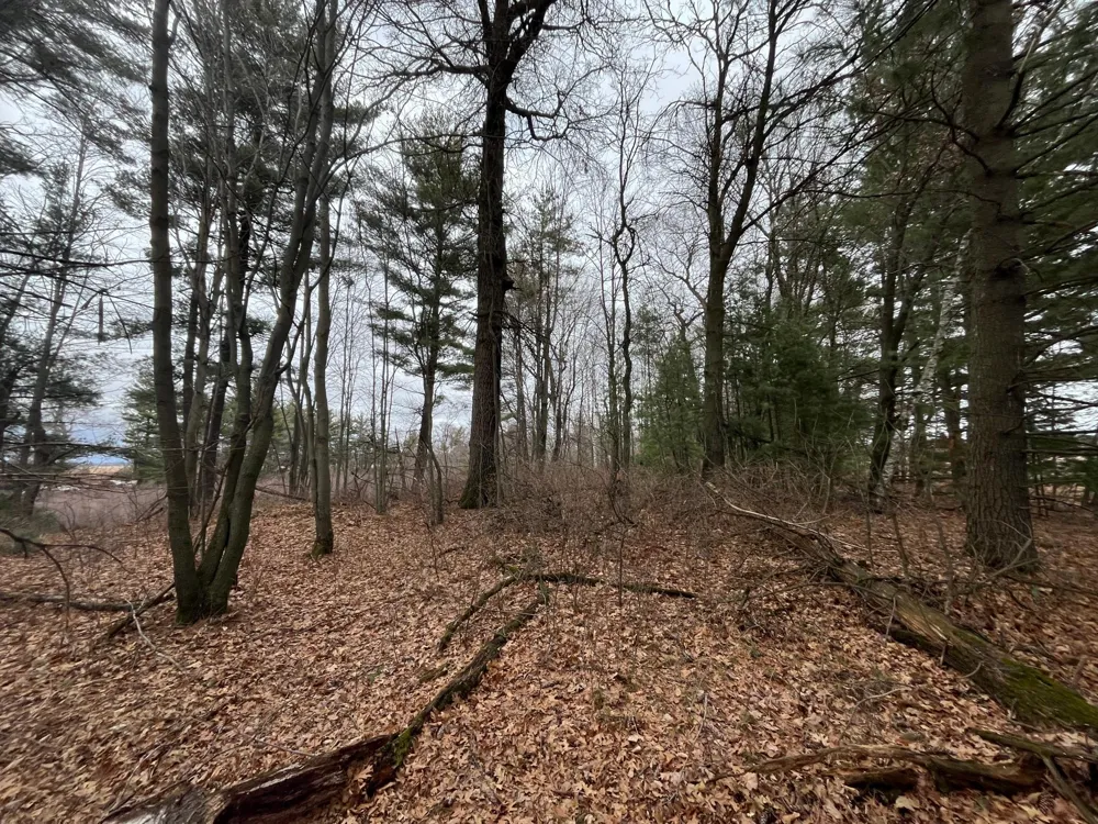 TBD Ten Mile Drive Chetek, WI 54757