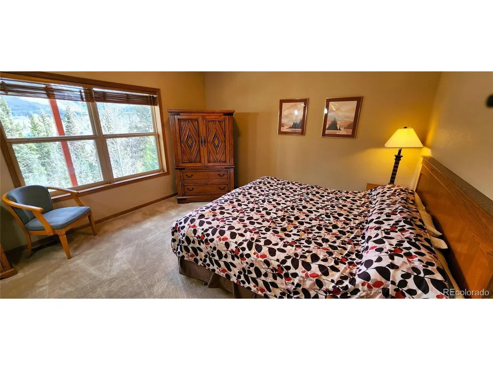 562 Piney Acres Circle Dillon, CO 80435