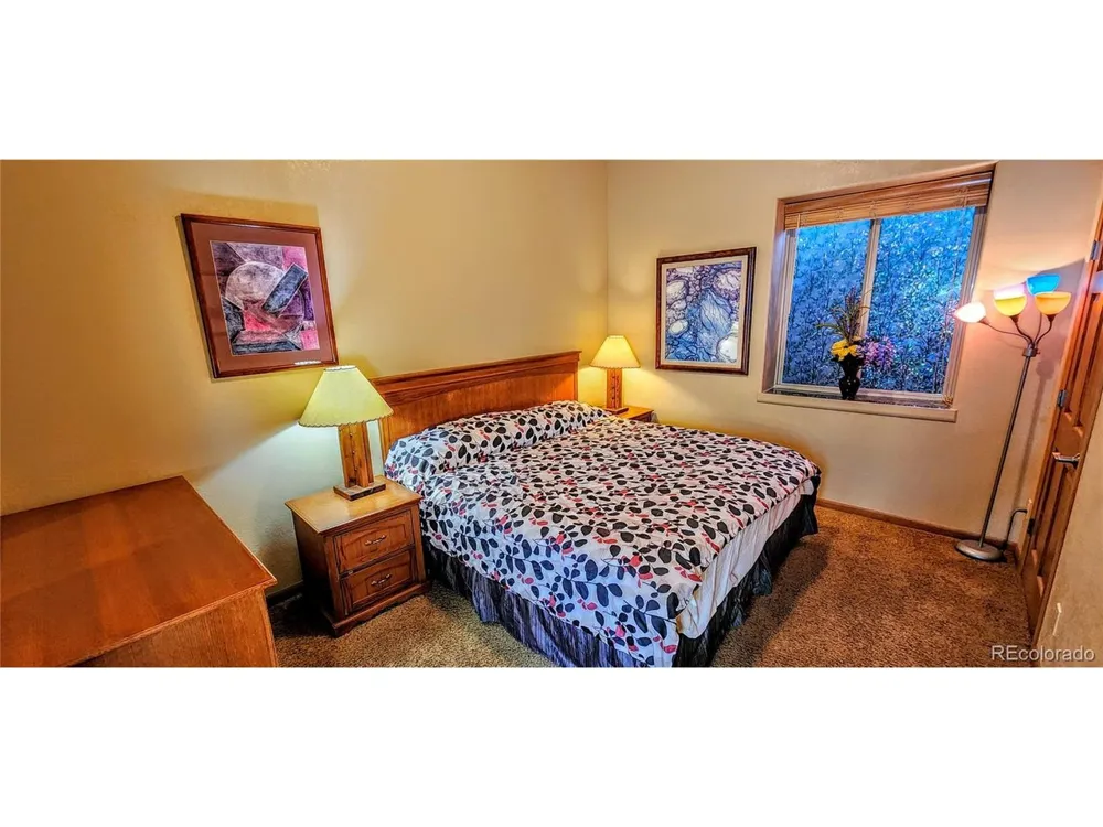 562 Piney Acres Circle Dillon, CO 80435