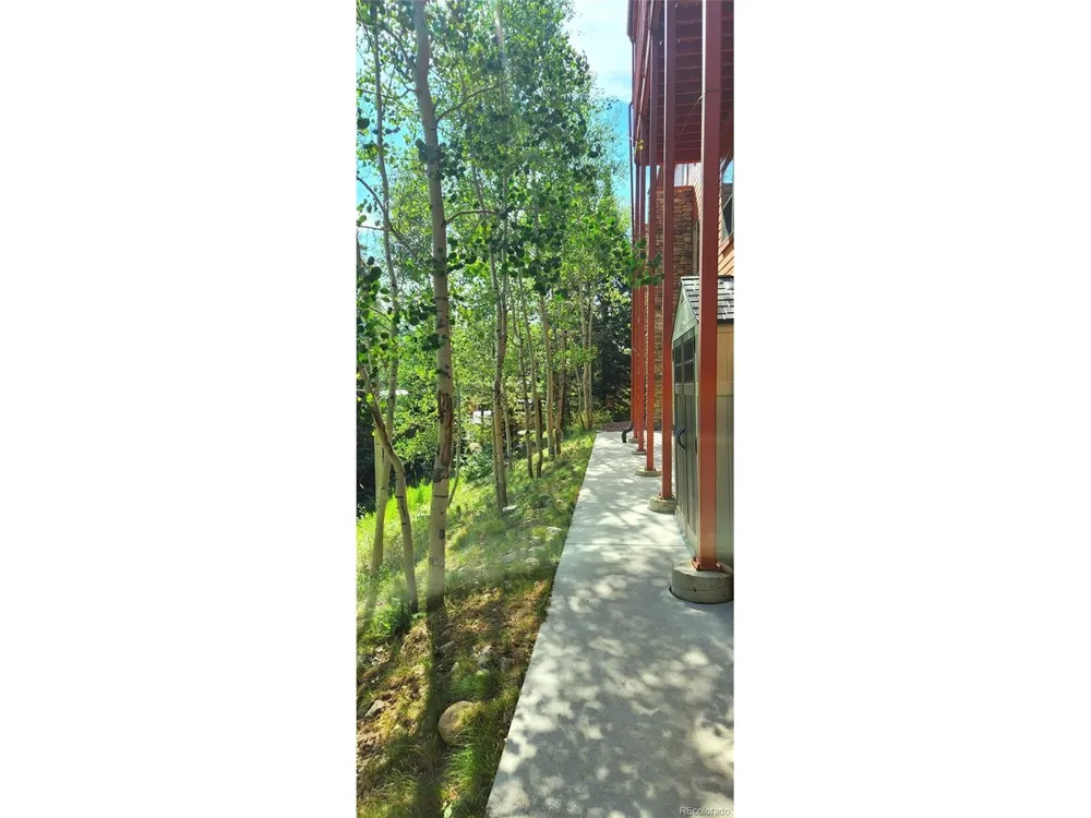 562 Piney Acres Circle Dillon, CO 80435