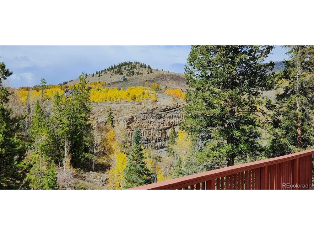 562 Piney Acres Circle Dillon, CO 80435