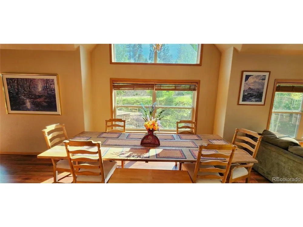 562 Piney Acres Circle Dillon, CO 80435